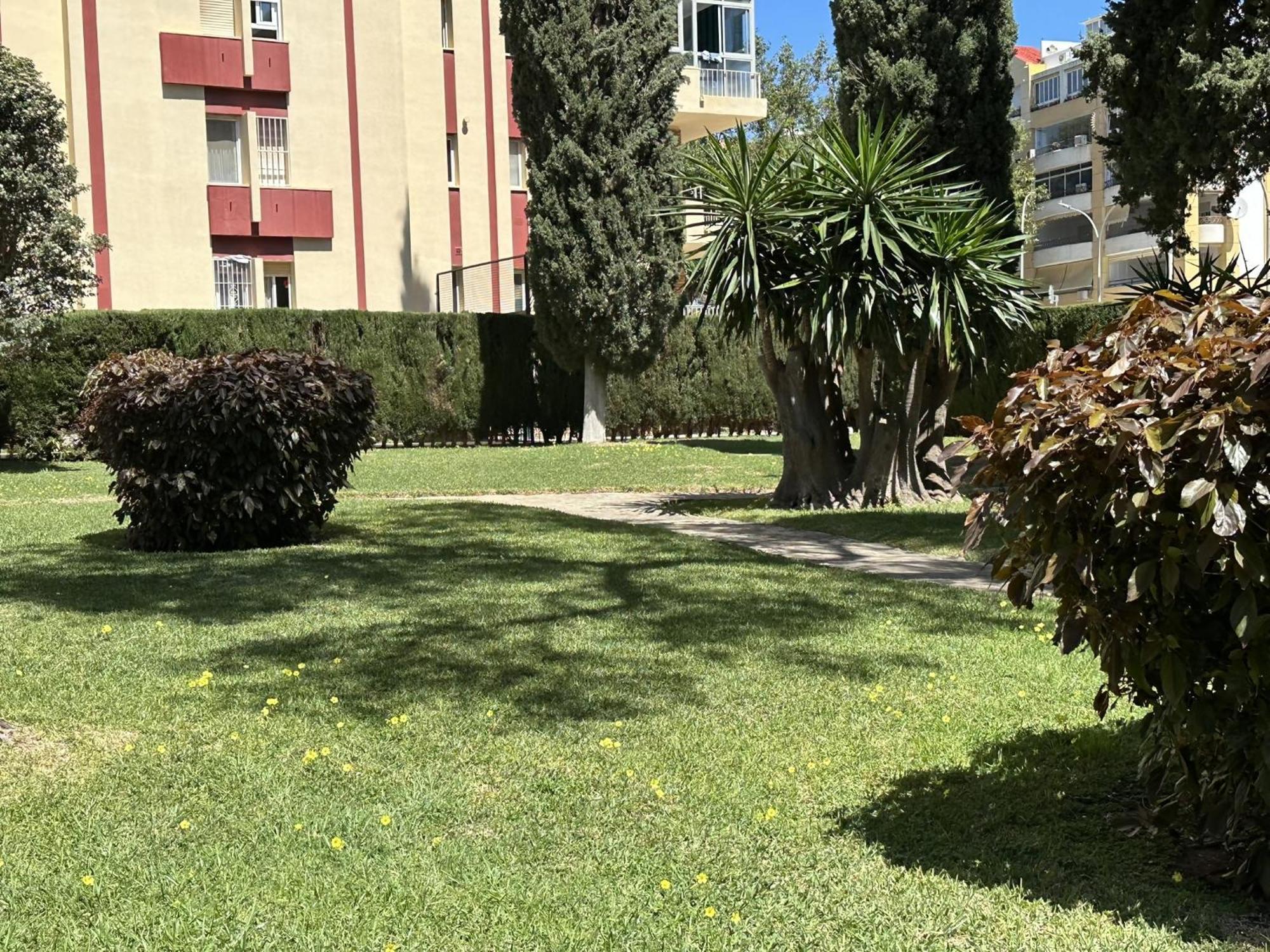 Estudio Hercules Con Piscina A 800m De La Playa *