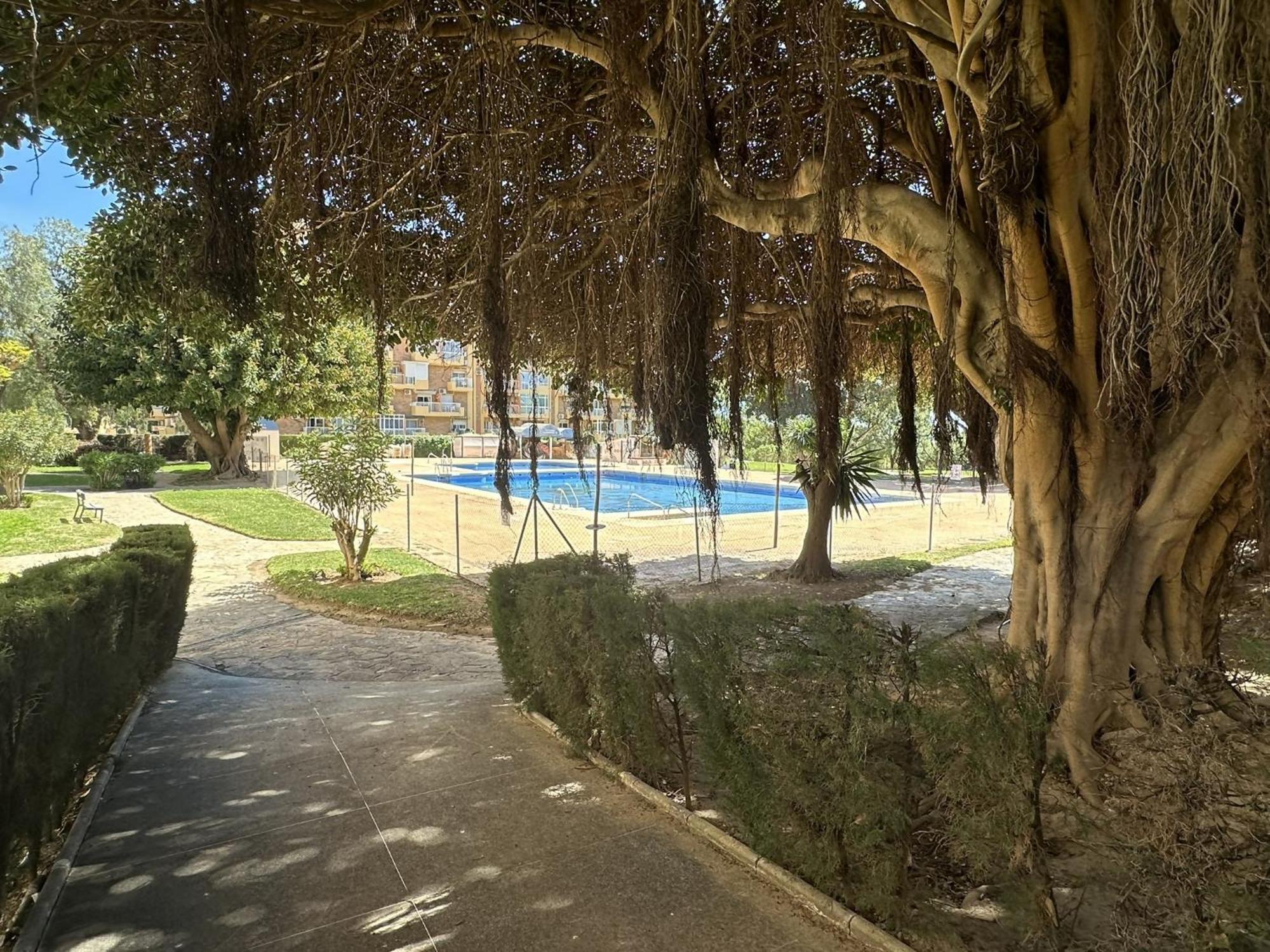 Apartment Estudio Hercules Con Piscina A 800m De La Playa