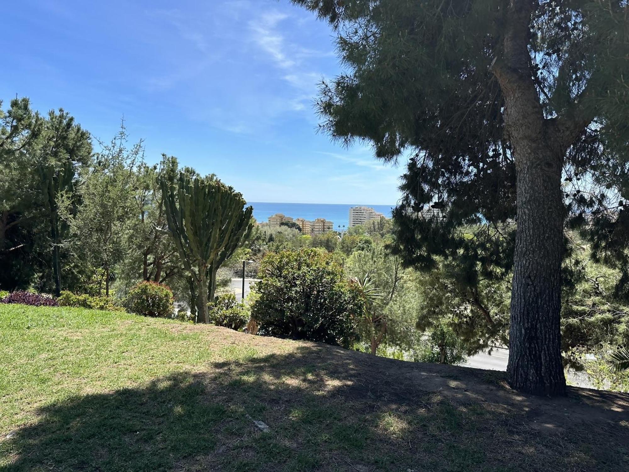 Apartment Estudio Hercules Con Piscina A 800m De La Playa